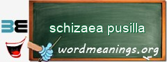 WordMeaning blackboard for schizaea pusilla